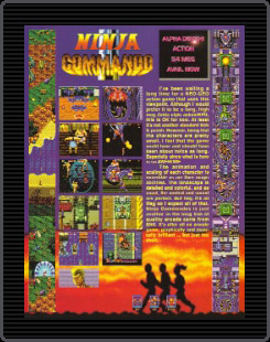 Ninja Commando