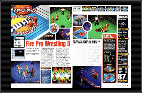 Fire Pro Wrestling D